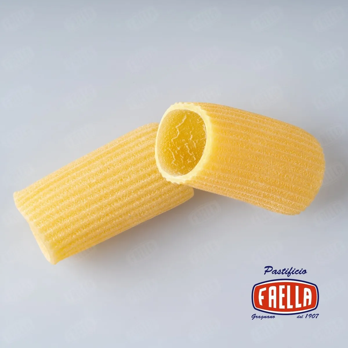 파엘라 리가토니 패키지