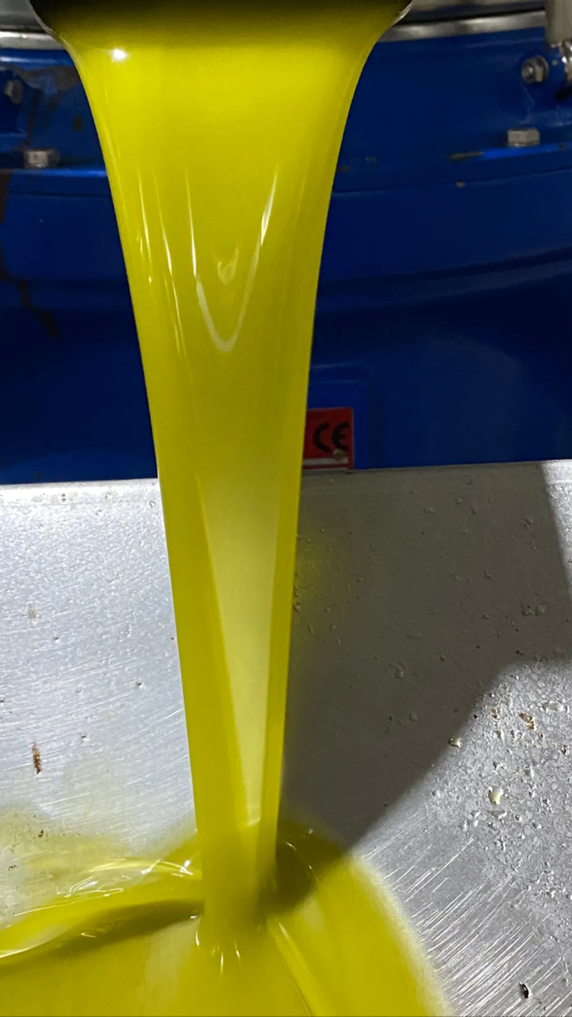 올리브오일 추출