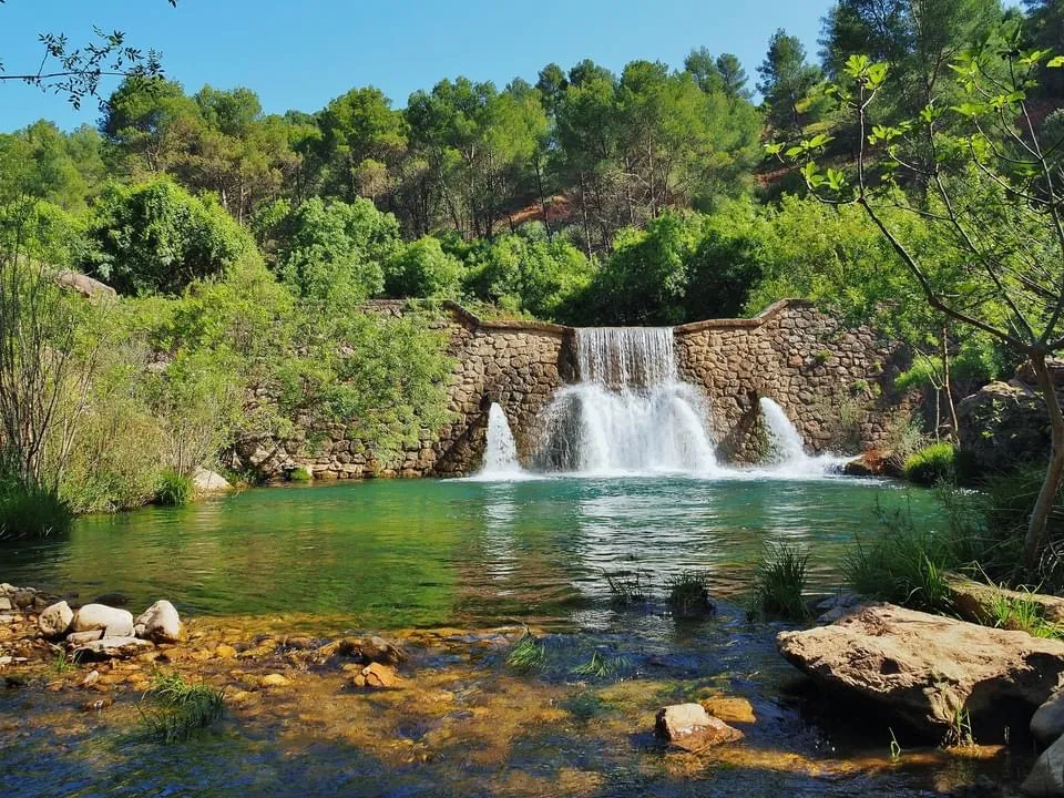 올리브 농장 전경