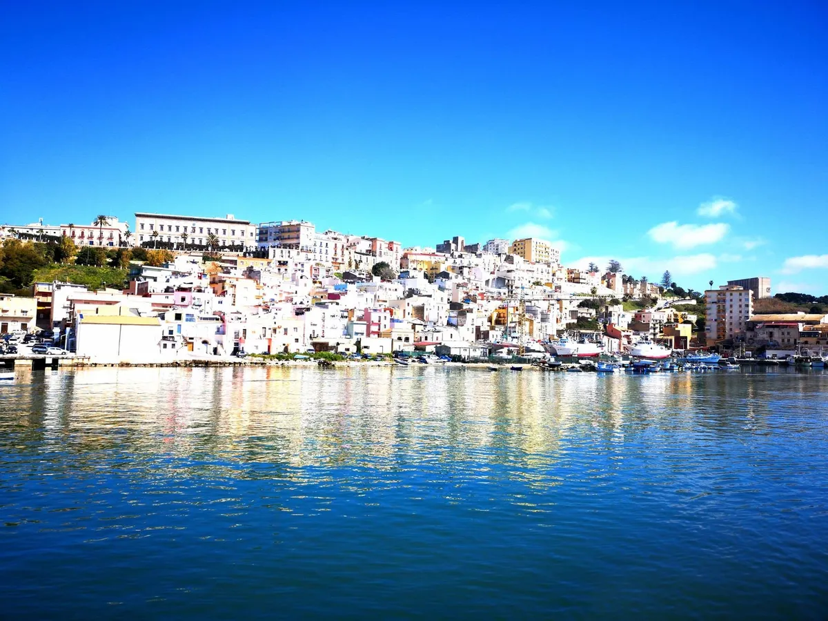 스칼리아 엔초비 가공